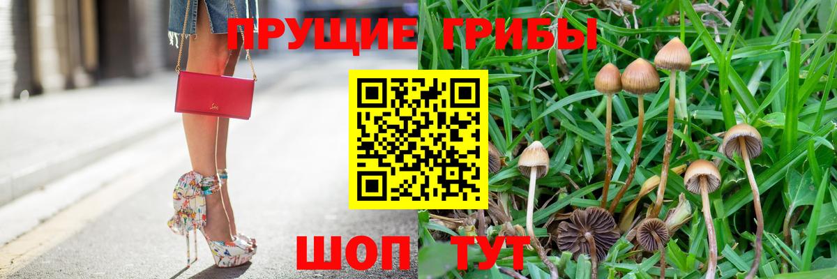 Галлюциногенные грибы Magic Shrooms  Псилоцибиновые грибы Psilocybe  Дзержинский  наркошоп  Вход с VPN 